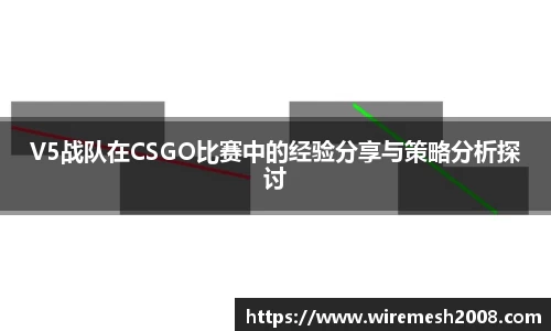 星空综合官网