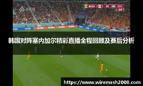 星空娱乐