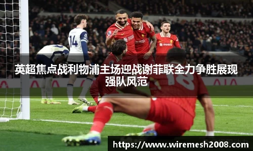星空娱乐