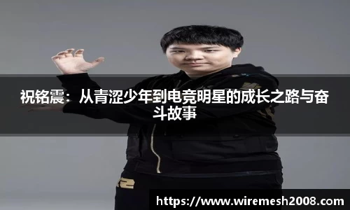 星空综合官网