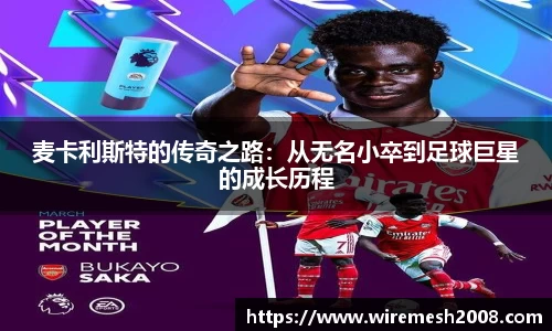 星空综合官网